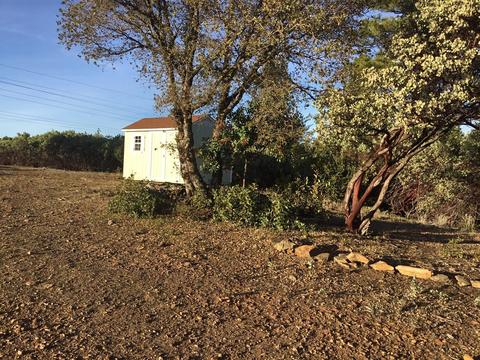 11021 Tabeaud Rd, Pine Grove, CA 95665 photo 14
