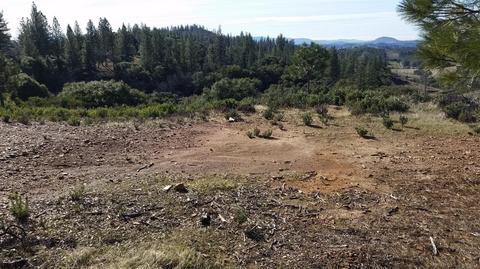 11021 Tabeaud Rd, Pine Grove, CA 95665 photo 7