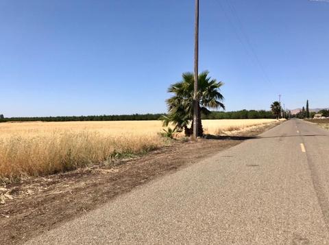 950 Apricot Ave, Patterson, CA 95363 photo 15