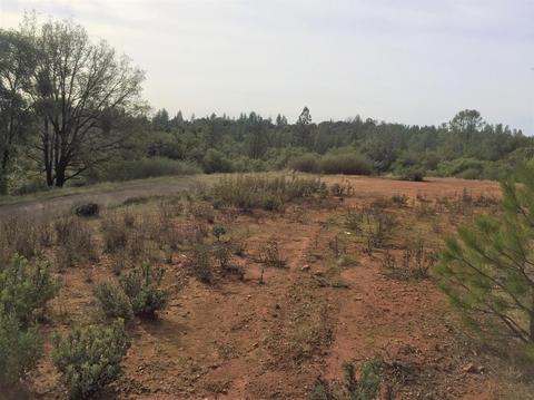 18501 Climax Rd, Jackson, CA 95642 photo 5