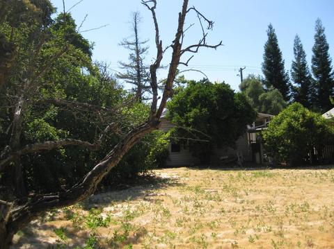 2626 Garfield Ave, Carmichael, CA 95608 photo 7