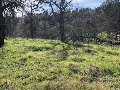 2431 Basket Ln, Copperopolis, CA 95228 photo 3