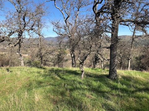 2431 Basket Ln, Copperopolis, CA 95228 photo 5