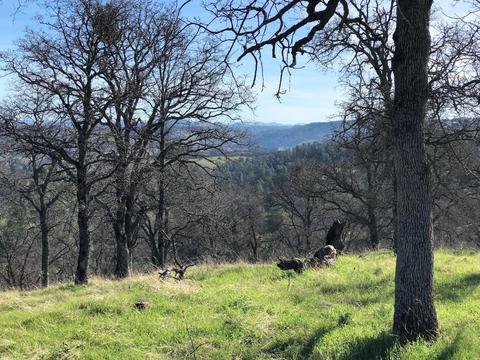 2431 Basket Ln, Copperopolis, CA 95228 photo 6