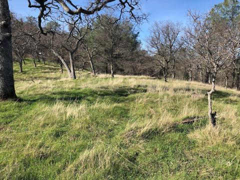 2431 Basket Ln, Copperopolis, CA 95228 photo 1