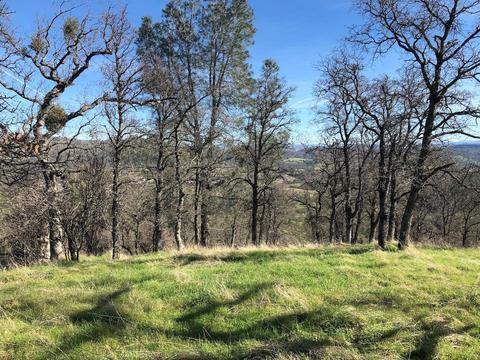 2431 Basket Ln, Copperopolis, CA 95228 photo 7