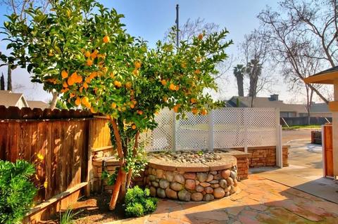 2401 Parducci Dr, Modesto, CA 95358 photo 8