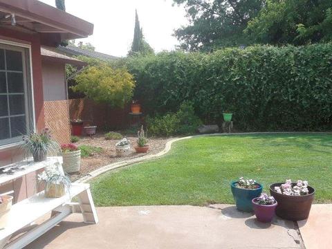 9456 Erwin Ave, Orangevale, CA 95662 photo 23