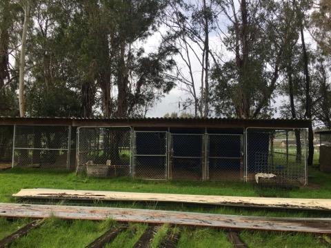 10141 La Clair Rd, Wilton, CA 95693 photo 15