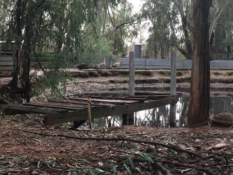 10141 La Clair Rd, Wilton, CA 95693 photo 12