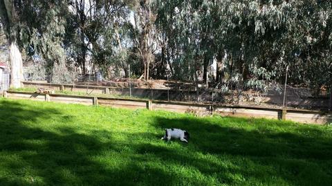 10141 La Clair Rd, Wilton, CA 95693 photo 25