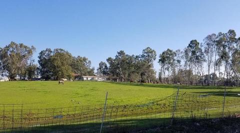 10141 La Clair Rd, Wilton, CA 95693 photo 1