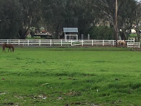 10141 La Clair Rd, Wilton, CA 95693 photo 5