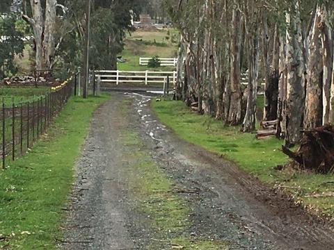 10141 La Clair Rd, Wilton, CA 95693 photo 13