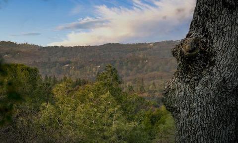 21262 Spring Ranches Rd, Grass Valley, CA 95949 photo 5