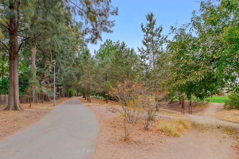 317 Norte Ave, Davis, CA 95616 photo 21