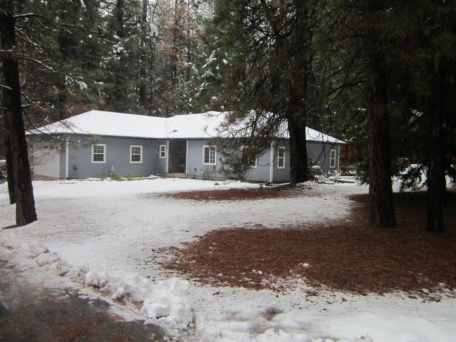 7584 Forest Glen Dr, Grizzly Flats, CA 95636 MLS 19007588