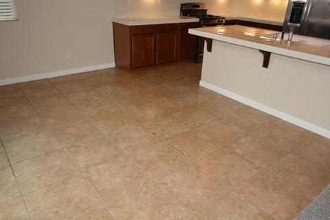 926 Ferry Launch Ave, Lathrop, CA 95330 photo 5