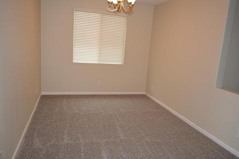 926 Ferry Launch Ave, Lathrop, CA 95330 photo 37