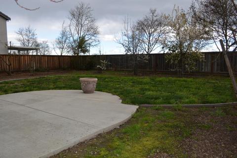 926 Ferry Launch Ave, Lathrop, CA 95330 photo 9