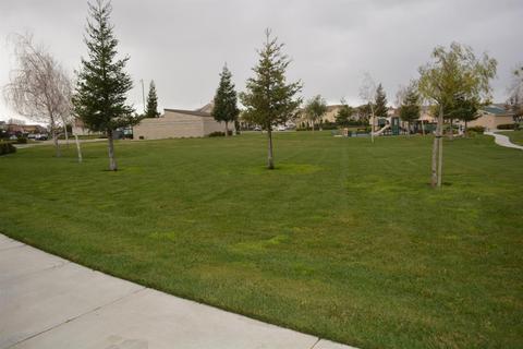 926 Ferry Launch Ave, Lathrop, CA 95330 photo 18