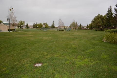 926 Ferry Launch Ave, Lathrop, CA 95330 photo 15