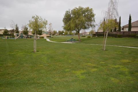 926 Ferry Launch Ave, Lathrop, CA 95330 photo 17
