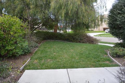926 Ferry Launch Ave, Lathrop, CA 95330 photo 3