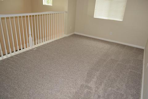 926 Ferry Launch Ave, Lathrop, CA 95330 photo 28