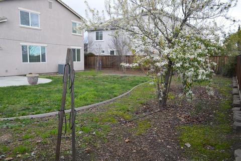 926 Ferry Launch Ave, Lathrop, CA 95330 photo 12