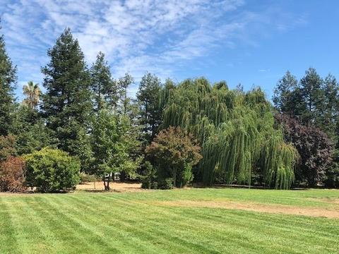 3481 Jamie Ct, Acampo, CA 95220 photo 33