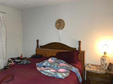 313 Gran Via Ct, Modesto, CA 95354 photo 10