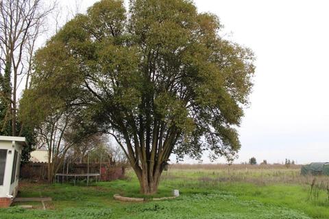 16436 Fox Rd, Lodi, CA 95240 photo 28