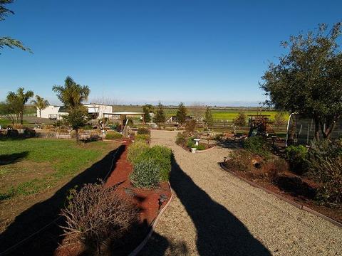 6901 Orchard Rd, Gustine, CA 95322 photo 39