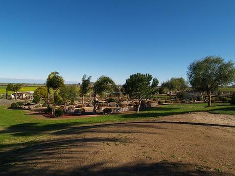 6901 Orchard Rd, Gustine, CA 95322 photo 33