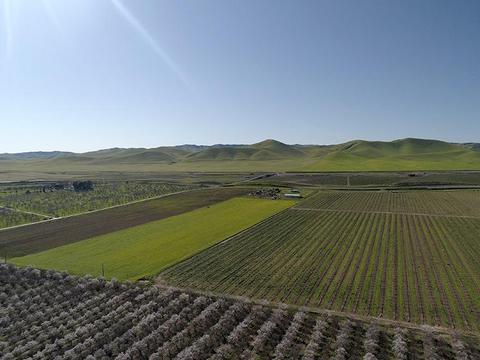 6901 Orchard Rd, Gustine, CA 95322 photo 63