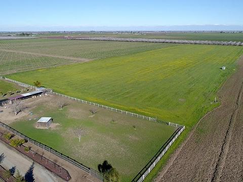 6901 Orchard Rd, Gustine, CA 95322 photo 73