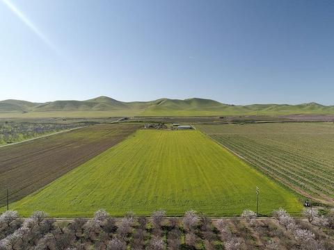 6901 Orchard Rd, Gustine, CA 95322 photo 64
