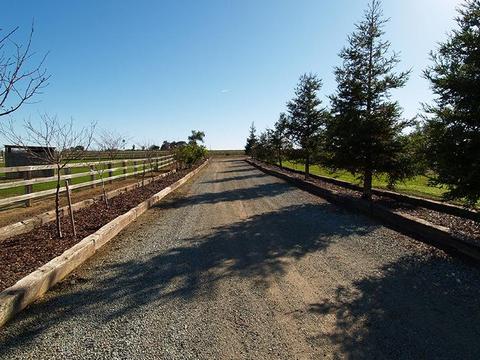 6901 Orchard Rd, Gustine, CA 95322 photo 40