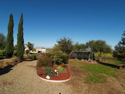 6901 Orchard Rd, Gustine, CA 95322 photo 38