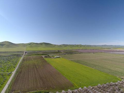 6901 Orchard Rd, Gustine, CA 95322 photo 62