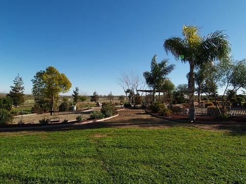 6901 Orchard Rd, Gustine, CA 95322 photo 34
