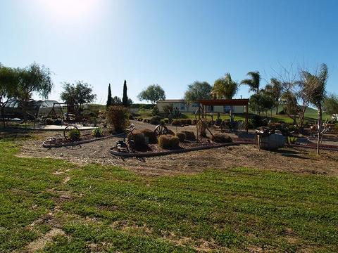 6901 Orchard Rd, Gustine, CA 95322 photo 36