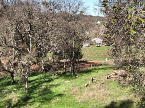 2871 Bow Dr, Copperopolis, CA 95228 photo 8