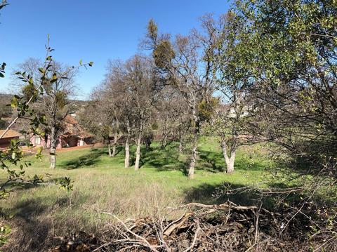 2871 Bow Dr, Copperopolis, CA 95228 photo 7