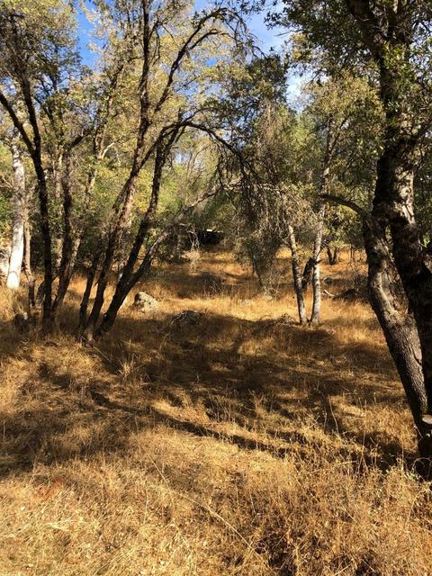 16671 Sparrow Hawk Ln, Sonora, CA 95370 photo 2