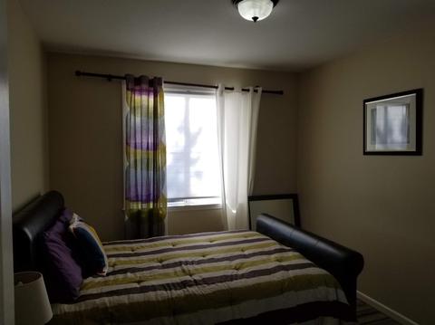 16238 Sheltered Cv, Lathrop, CA 95330 photo 39