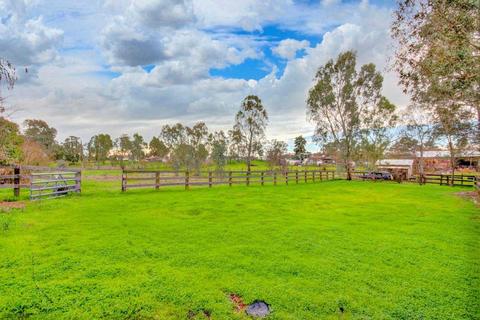 10028 Tavernor Rd, Wilton, CA 95693 photo 45