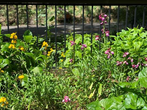 1778 Smith Flat Rd, Placerville, CA 95667 photo 21