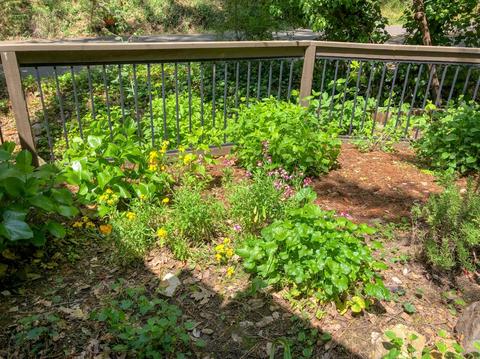1778 Smith Flat Rd, Placerville, CA 95667 photo 20